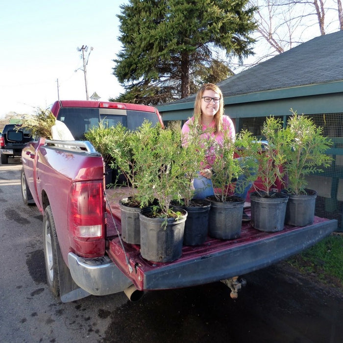 Pickup Products at the Farm